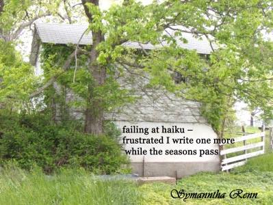epic fail, fail, Failing at Haiku blog, failing poetry, fail poem