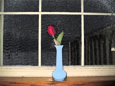 red rose, flower in a vase, single rose