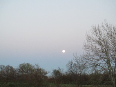 evening moon,full moon,